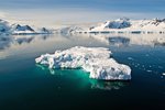 Antarctic Peninsula (Cruising only)