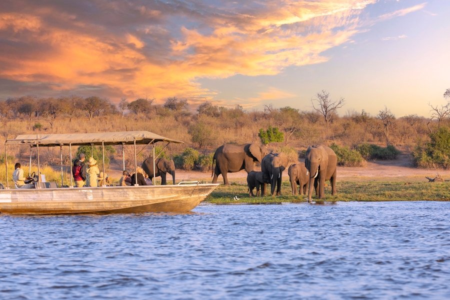 Chobe Princess - Wilde Schönheit Afrikas