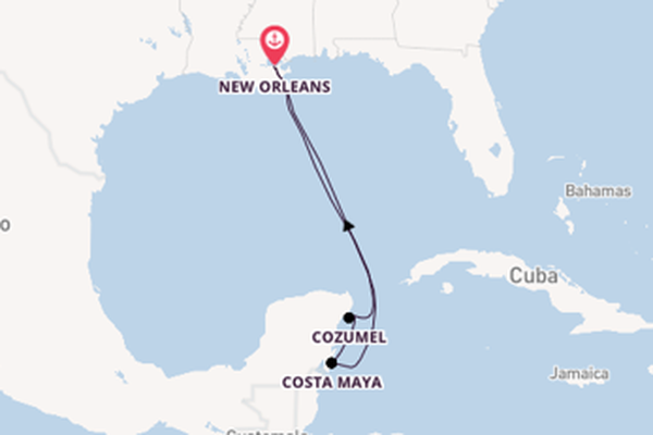 Verken het waanzinnige Cozumel