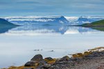 Vigur Island, Iceland