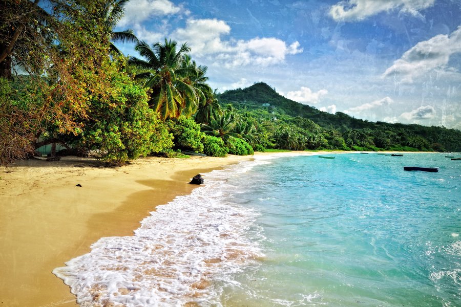 Seychellen ab Victoria, Seychellen auf der Le Dumont-d'Urville