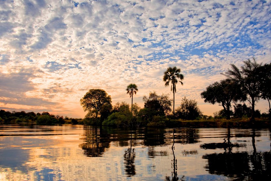 Chobe Princess - Wilde Schönheit Afrikas