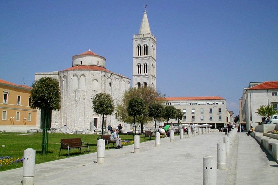 Dalmatino