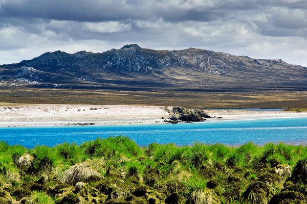 New Island, Falkland Islands