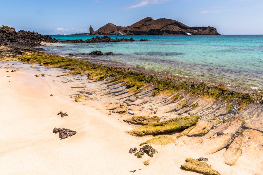 Galapagos-Inseln ab Baltra, Galapagosinseln auf der Celebrity Flora