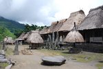 Flores, Indonesië