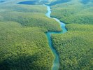 Amazonas, Brazilië