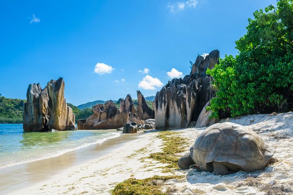 Aldabra, Seychellen