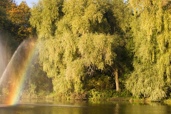 Nowa Sól (Neusalz), Polen