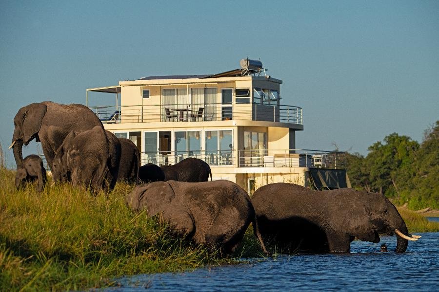 Chobe Princess - Wilde Schönheit Afrikas