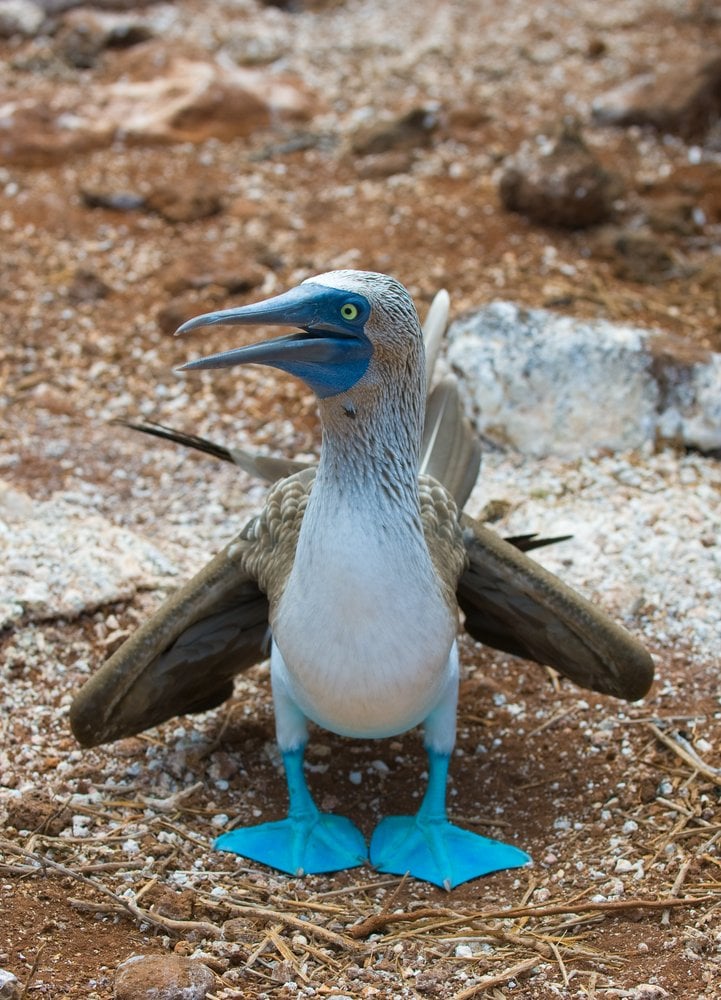 Galapagos Islands from San Cristobal Island, Galapagos, Ecuador with the Silver Origin