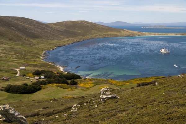 Westpoint Island, Falkland Islands