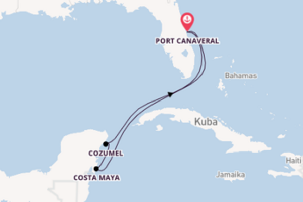 Port Canaveral und Costa Maya erkunden