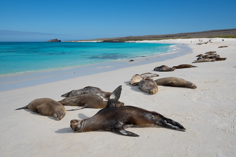 Santa Cruz II - Galapagos - Die Reise Ihres Lebens