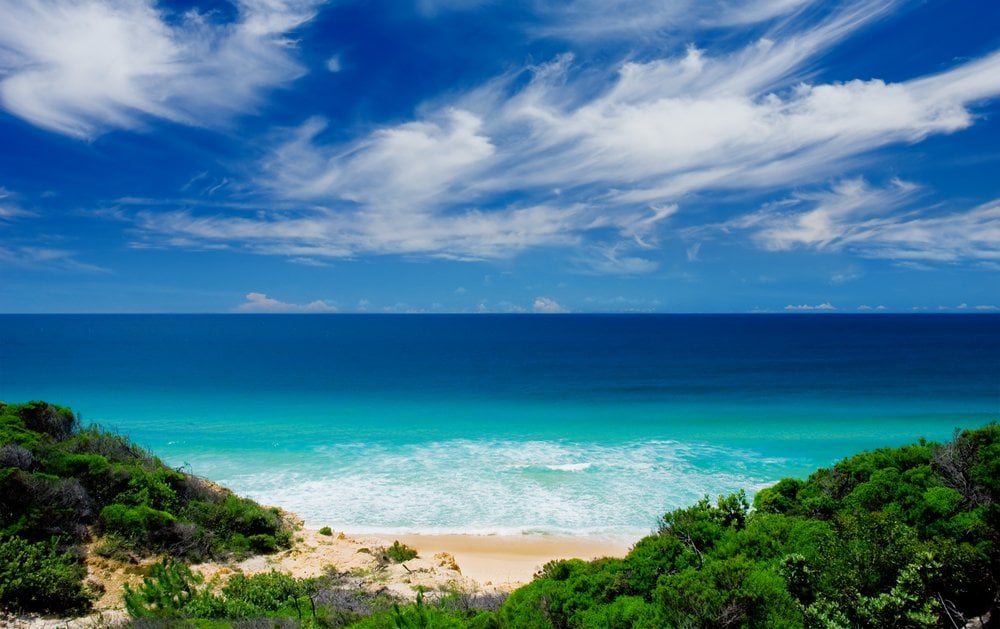 celebrity cruises july 4th sale