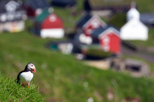 Faroe Eilanden, Denemarken