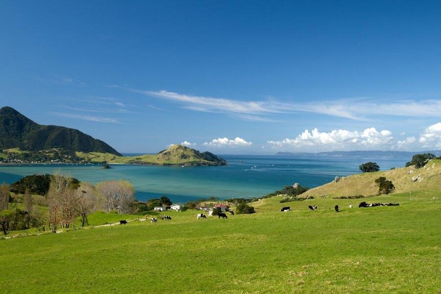Neuseeland ab Lyttelton, Neuseeland auf der HANSEATIC spirit
