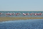 Walvis Bay, Namibia