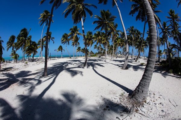 Half Moon Caye Reserve, Belize