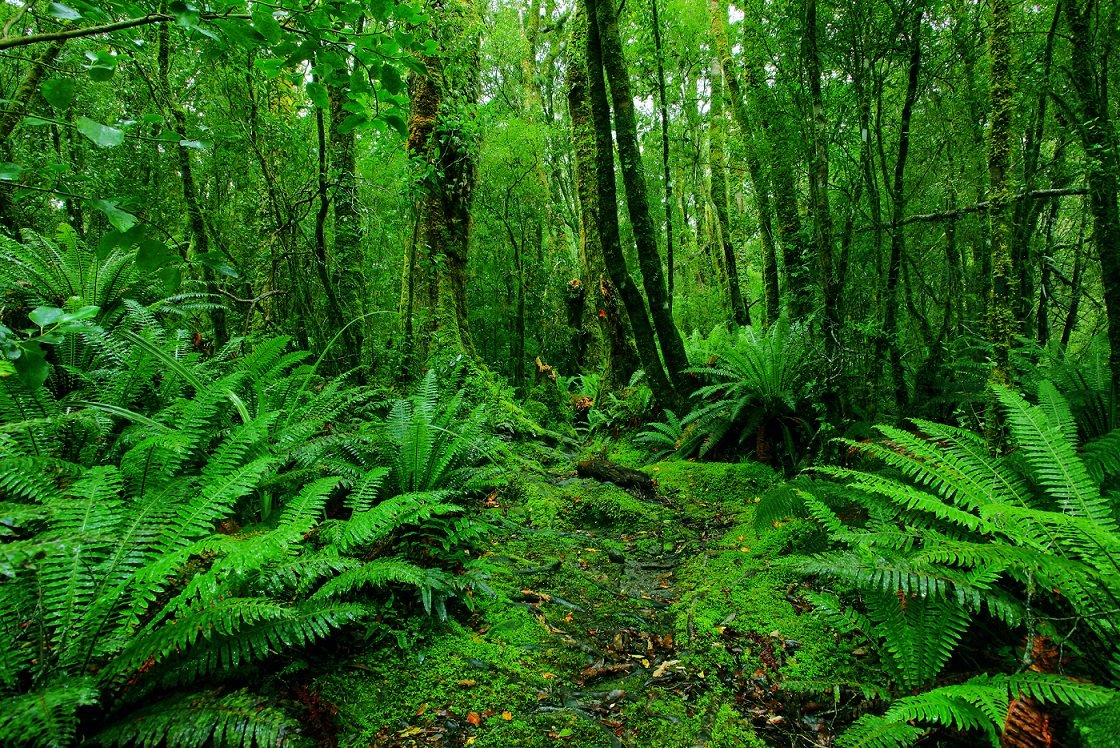 Südostasien ab Darwin, Australien auf der Le Soléal