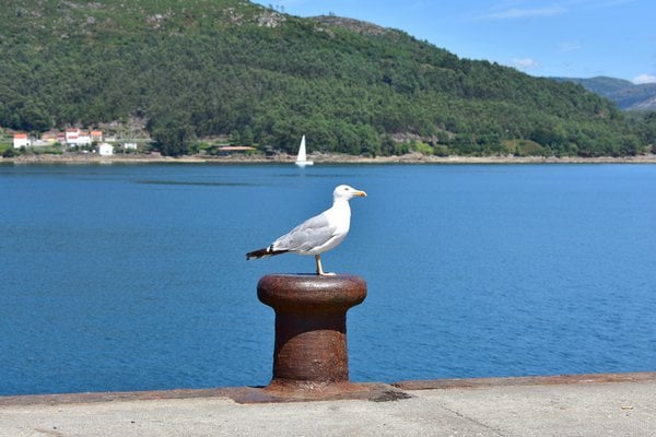 Puerto de la Estaca, Spain