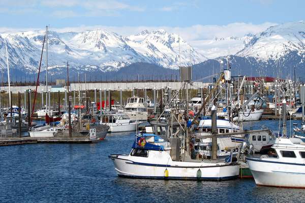 Spannende Kreuzfahrt über Icy Strait Point ab Seattle