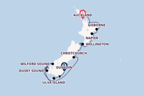 In 13 Tagen nach Dunedin über Tauranga