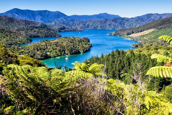 New Year Cruise in New Zealand with Sydney Stay