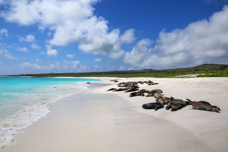 Galapagos Islands from San Cristobal Island, Galapagos, Ecuador with the Silver Origin