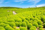 Hitachinaka, Japan