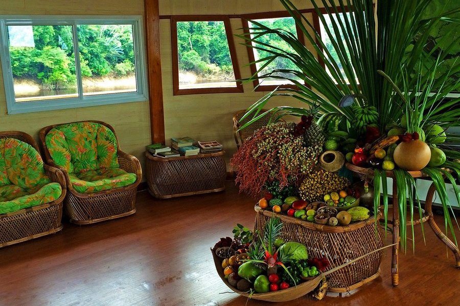 Amazonas ab Manaus, Brasilien auf der Amazon Clipper Premium