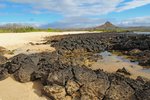 Dragon Hill (Santa Cruz), Galapagos Islands, Ecuador