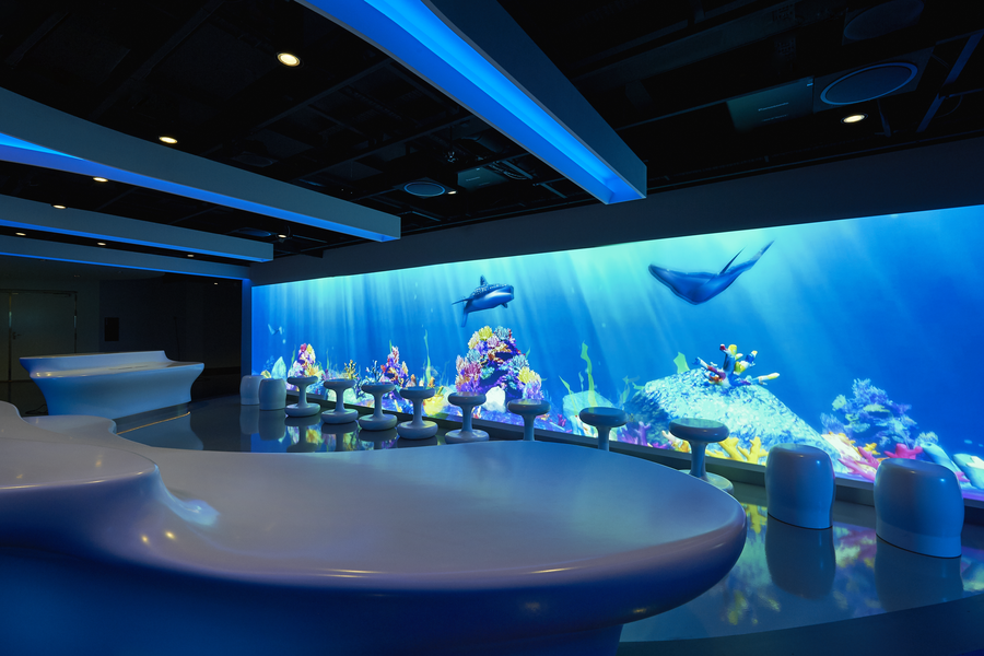 Karibik ab Miami auf der Norwegian Joy