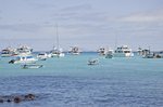 Puerto Ayora (Santa Cruz), Galapagosinseln, Ecuador