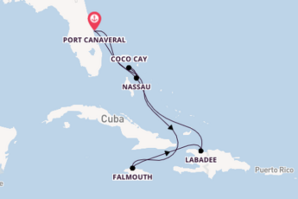 8 day cruise with the Harmony of the Seas to Port Canaveral