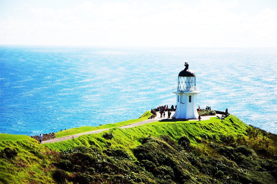 Neuseeland ab Dunedin, Neuseeland auf der Le Soléal
