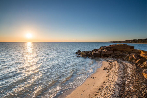 4daagse droomcruise vanuit Sydney