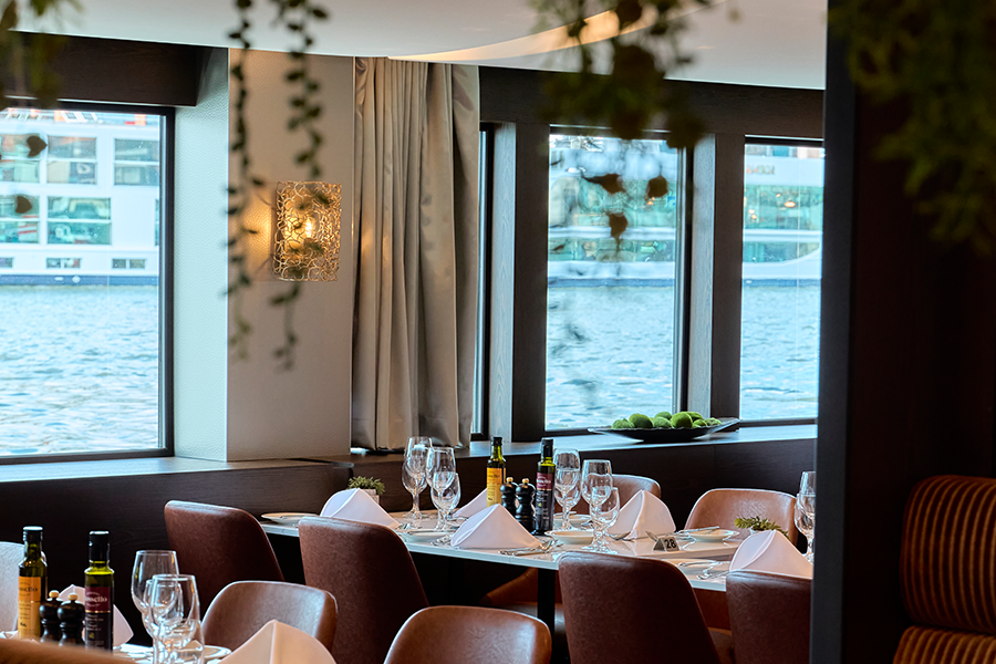 Rhine from Basel, Switzerland with the AmaSofia