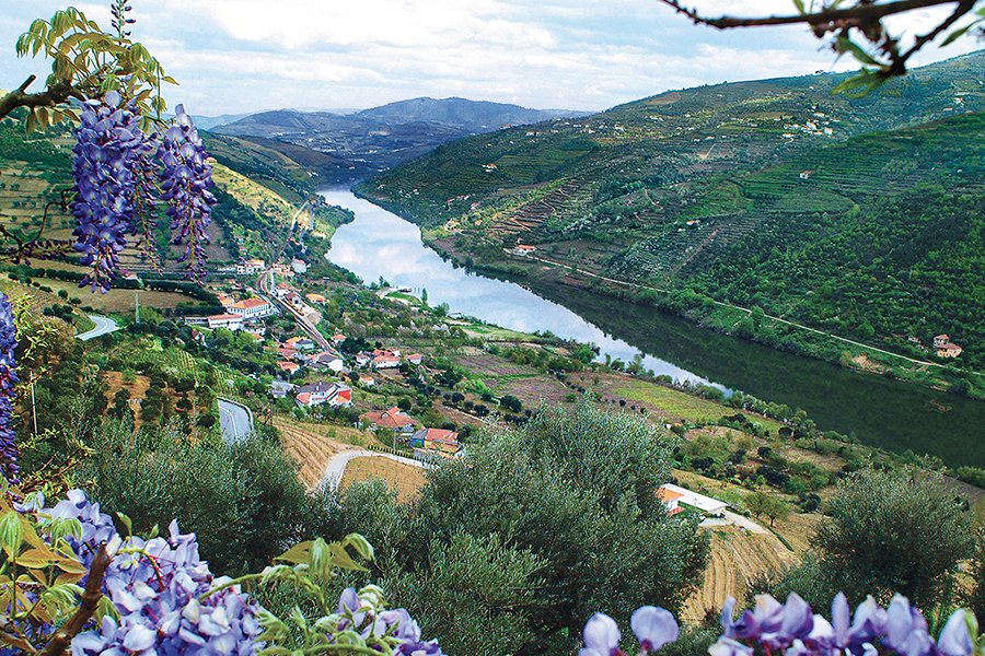 Portugal from Porto, Portugal with the AmaDouro