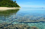 Nuku'alofa, Tonga