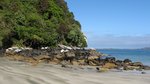 Stewart Island, New Zealand