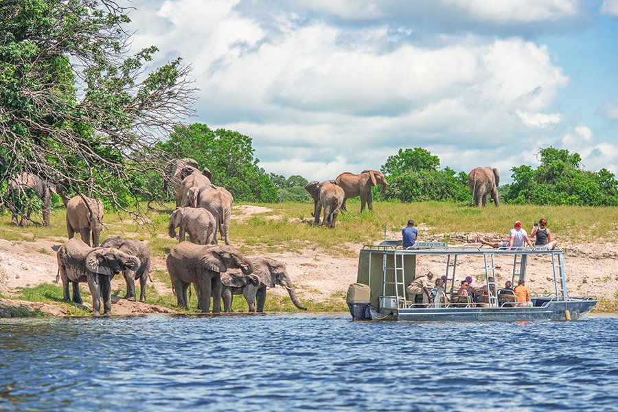 Zambezi Queen