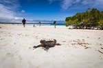 Santa Cruz Insel, Galapagos, Ecuador