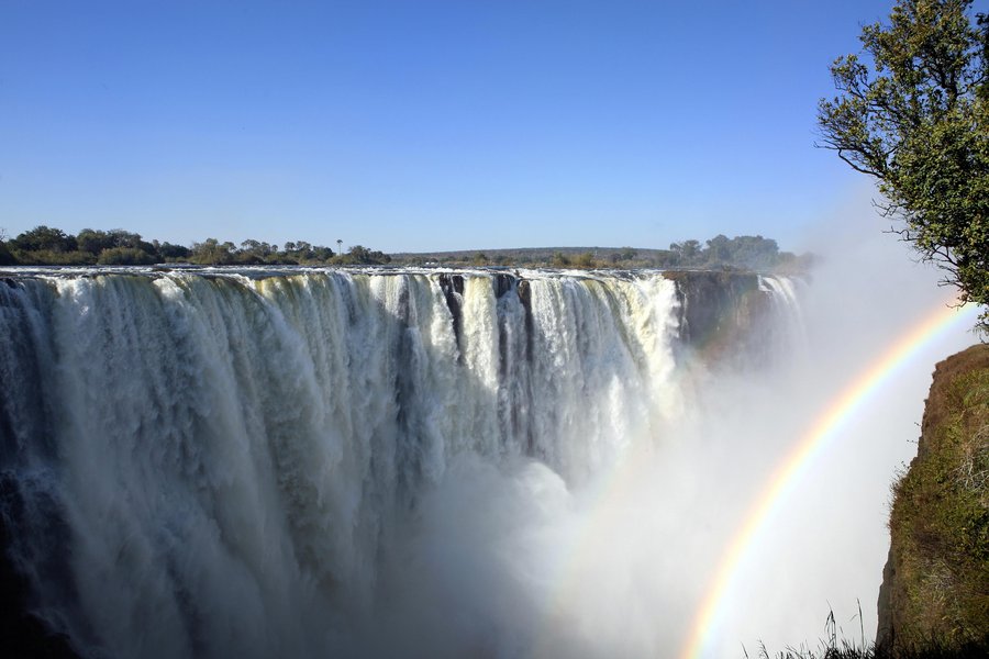 Chobe Princess - Wilde Schönheit Afrikas