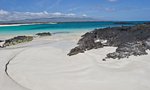 Cerro Tijeretas (Frigatebird Hill), Galapagosinseln