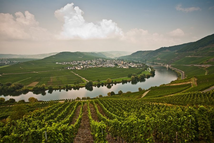 Mosel ab Köln, Deutschland auf der MS VistaRio