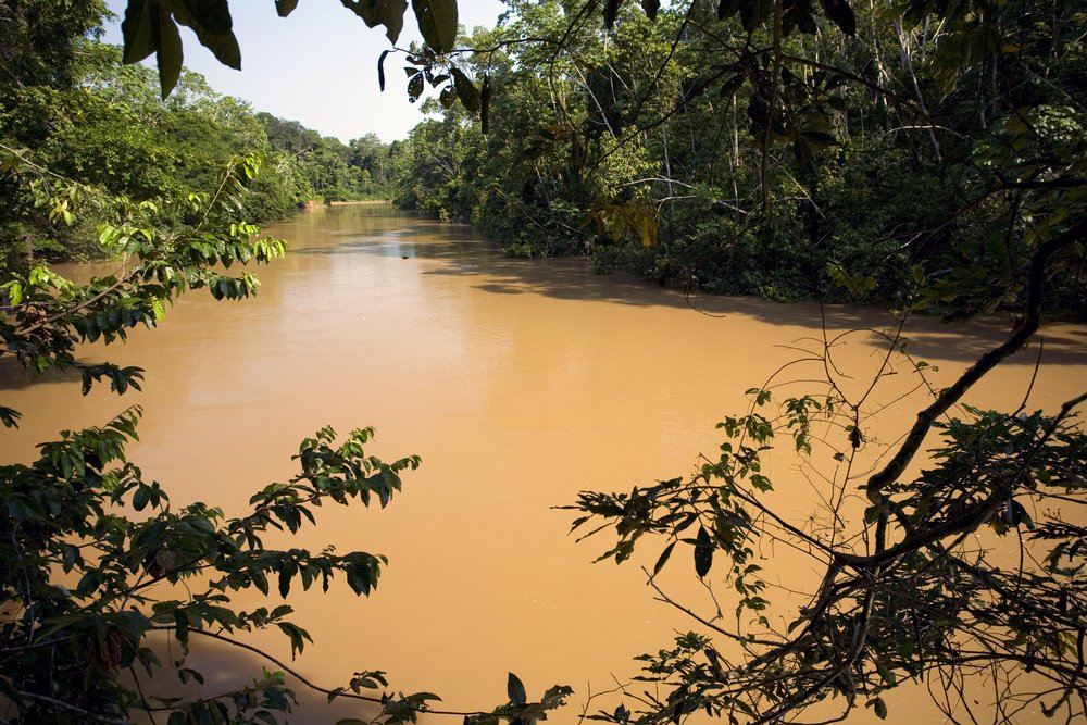 Amazonas ab Manaus, Brasilien auf der Amazon Clipper Premium
