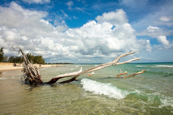 Pomene National Reserve, Mozambique