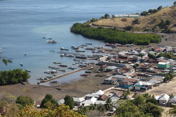 Rinca Island, Indonesia