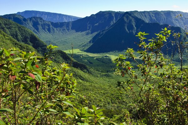 Saint Pierre, Réunion